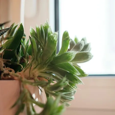 Apartamento Friendly Border Design *