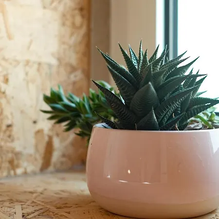 Friendly Border Design